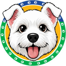 Pet Cinha